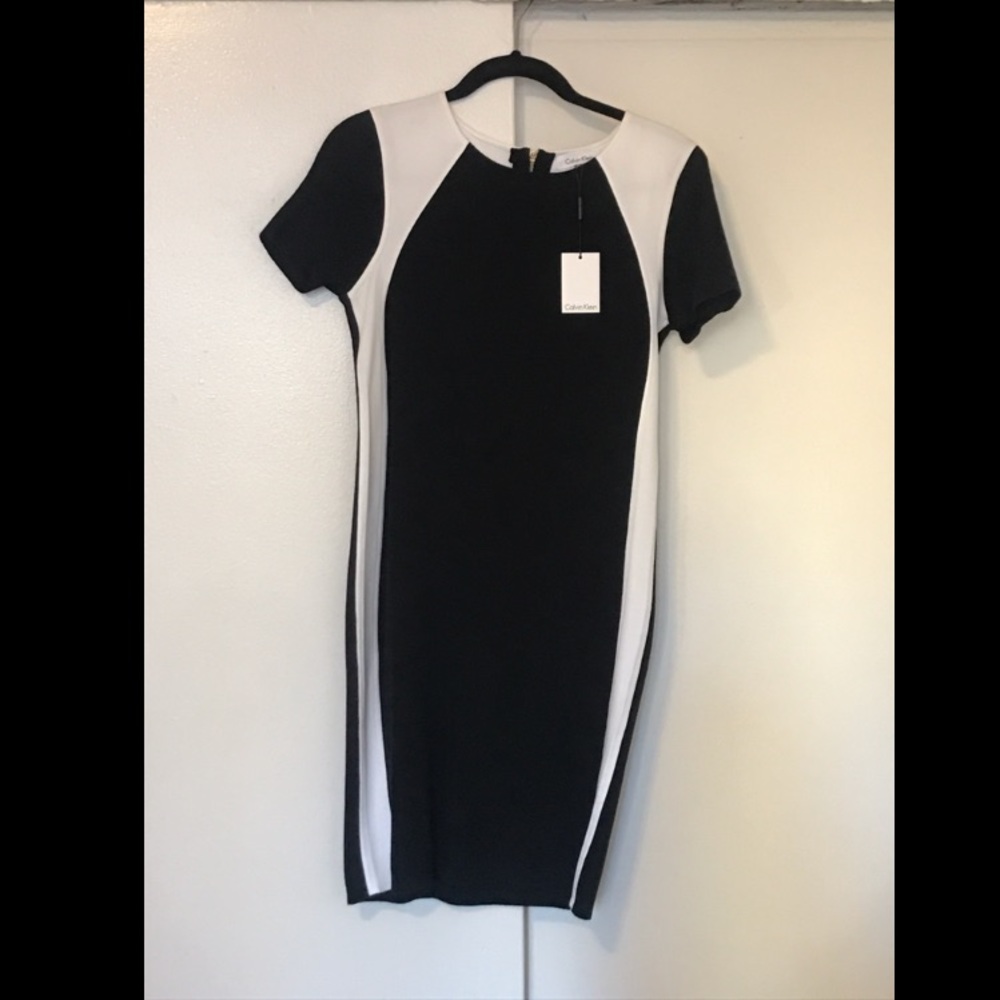Calvin Kline Sweater Shift Dress
